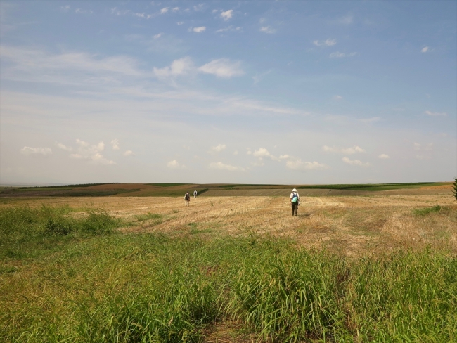 Manyas Gölü yakınlarında 300 bin yıllık olabileceği düşünülen bulgulara rastlandı
